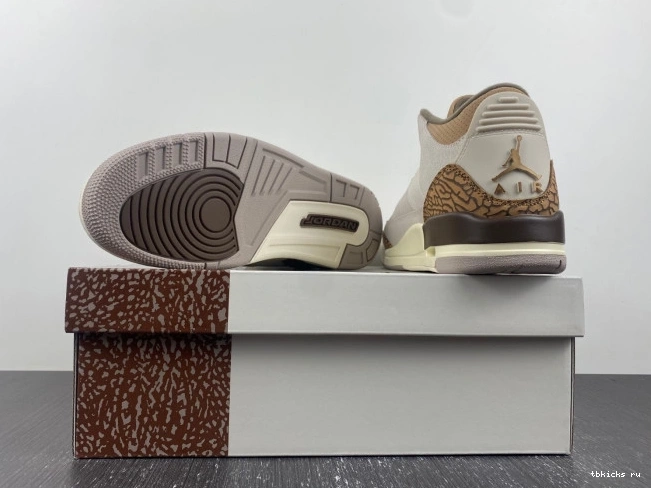 Reps TB Jordan 3 CT8532-102 Air Palomino 0724